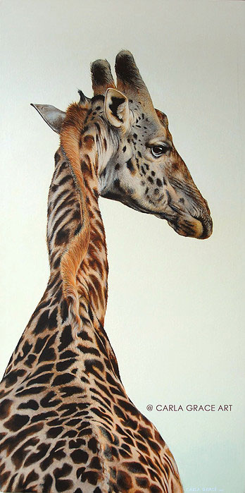 Alfred the Giraffe, Acrylic on Canvas, by Carla Grace, crowd ink, crowdink, crowdink.com, crowdink.com.au