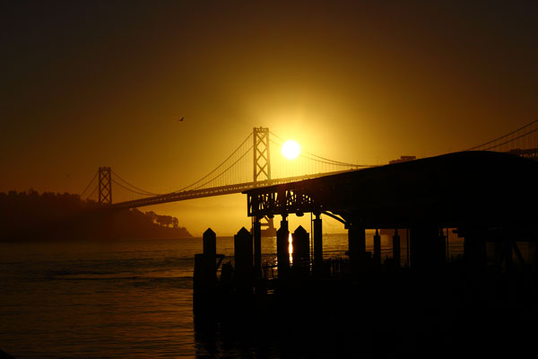 Early Bird of Oakland Bay, Metallic Print Photograph by Genevieve Engelhardt, crowd ink, crowdink, crowdink.com, crowdink.com.au