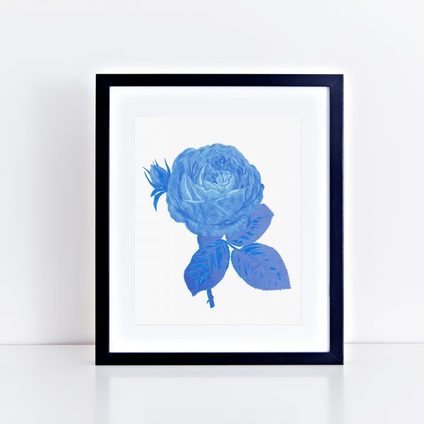 Security Envelope Blue Rose by Jennifer Bell