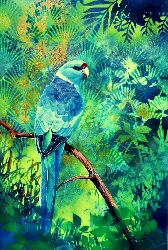 Secluded Glade – Ring necked parrot by Susan Skuse