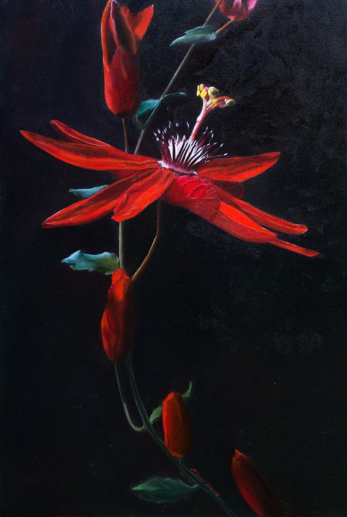 Passion Flower by Elena Valerie