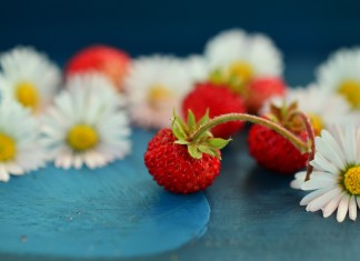 Cooking with allergies