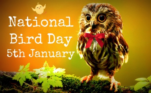 National Bird's Day, crowdink, crowd ink, crowdink.com