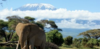 Mount Kilimanjaro, crowdink.com, crowdink.com.au, travel, adventure, africa, explore