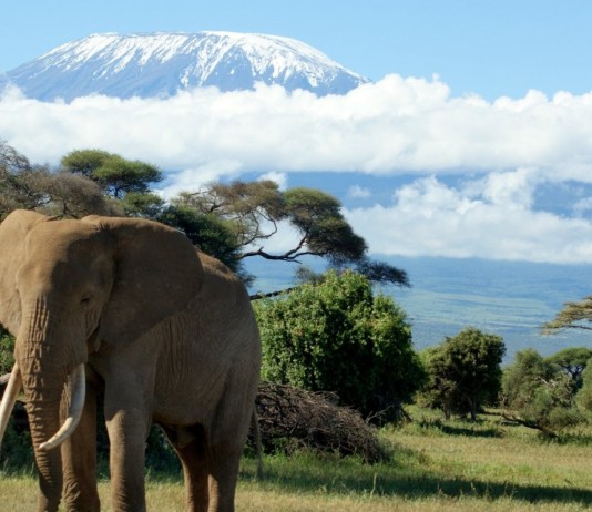Mount Kilimanjaro, crowdink.com, crowdink.com.au, travel, adventure, africa, explore