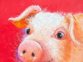 Pink Pig Painting by Jan Matson, crowd ink, crowdink, crowdink.com, crowdink.com.au