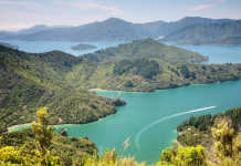 Queen Charlotte Track, New Zealand [image source: journeypacific.com], crowd ink, crowdink, crowdink.com, crowdink.com.au