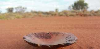 Desert Bowl (Image Source: (Image Source : https://www.etsy.com/au/shop/Yandiwa), crowdink.com, crowdink.com.au, crowd ink, crowdink