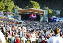 Falls Festival (Image Source: mixitup), crowdink.com, crowdink.com.au, crowdink, crowd ink