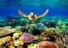 Great Barrier Reef (Image Source: Pinterest), crowdink.com, crowdink.com.au, crowd ink, crowdink, travel, great barrier reef