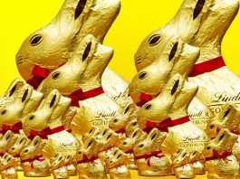 crowdink.com, crowdink.com.au, crowd ink, crowdink, Premium Chocolate Company