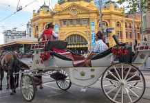 Melbourne Horse carriages ban (Image Source: abc)