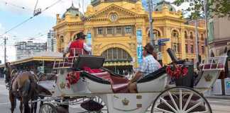 Melbourne Horse carriages ban (Image Source: abc)