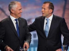 Turnbull vs Abbott, crowdink.com, crowdink.com.au, crowd ink, crowdink