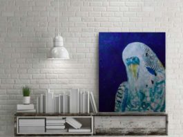 crowdink.com, crowdink.com.au, crowd ink, crowdink, Budgie Love by Michelle Gilks