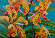 Yellow and Red Orchid by Lorraine Abernethy