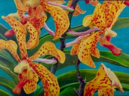 Yellow and Red Orchid by Lorraine Abernethy