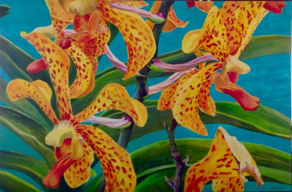 Yellow and Red Orchid by Lorraine Abernethy