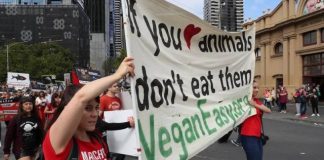 Vegan Protestors (Image Source- bigsmoke)