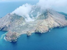 New Zealand Volcano Update (Image Source: Euronews)