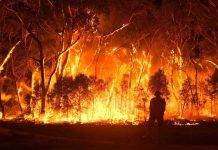 Australian Bushfires