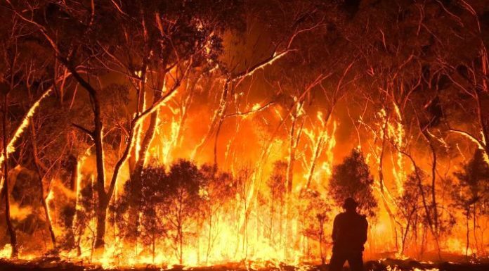 Australian Bushfires