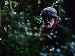 In Conversation with Bill Henson